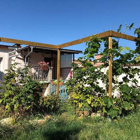 Ubytovani U Jerabku - Parkovani Zdarma Mikulov Buitenkant foto