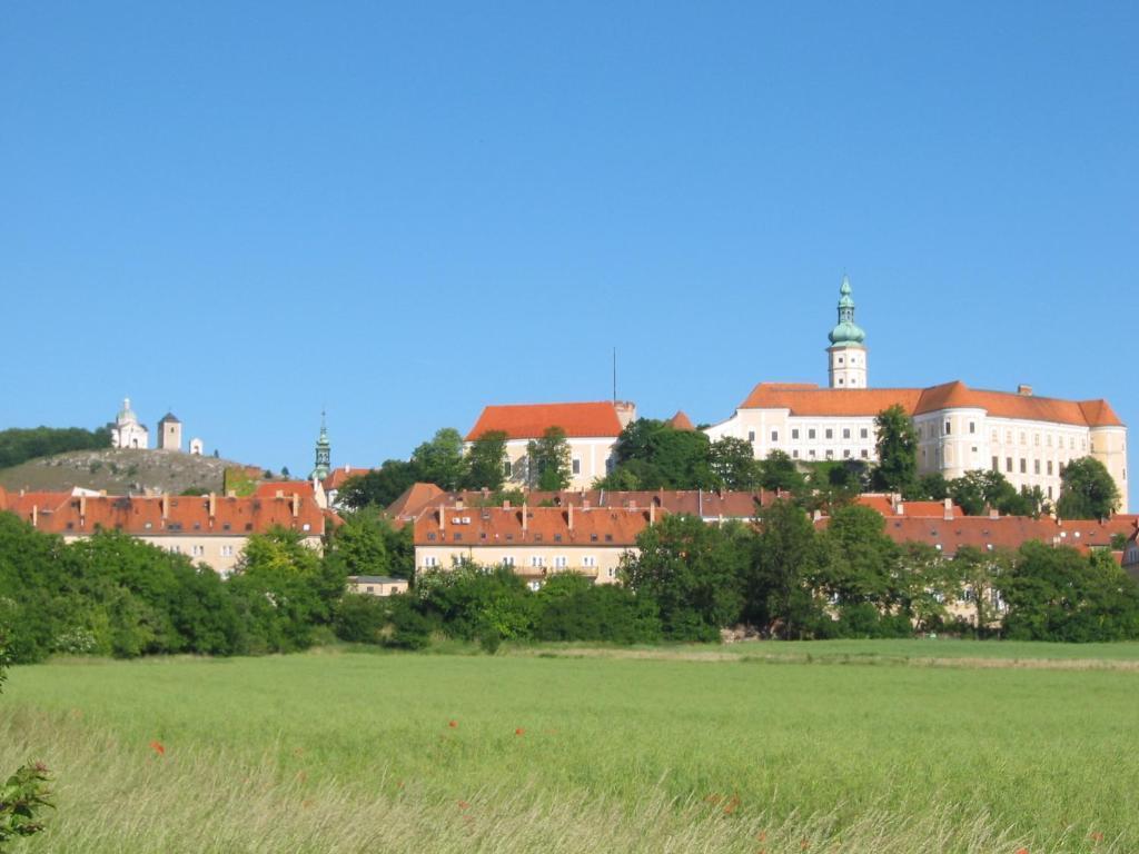 Ubytovani U Jerabku - Parkovani Zdarma Mikulov Kamer foto